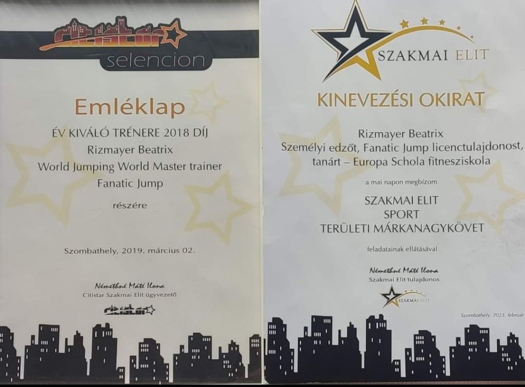 Emléklap, kinevezési okirat